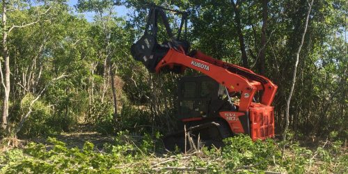 Excavation, Forestry Mulching, Land Work, Land Clearing, Lot Clearing, Land Grading, Brush Hogging